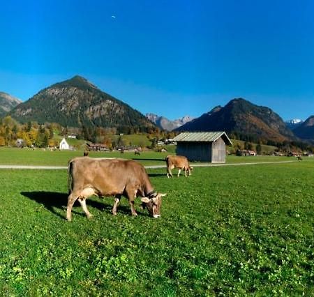 Bergpanorama Lejlighed Oberstdorf Eksteriør billede